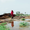 The Adivasi: left behind with hard work