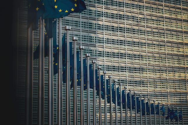 Welche Folgen haben die Ergebnisse der Europawahl?