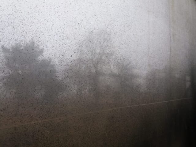 Bäume im Nebel