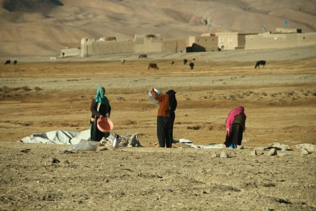 Neues aus Afghanistan im Dezember