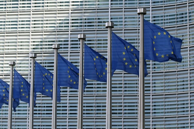 Infos zur Europawahl am 9.6.2024