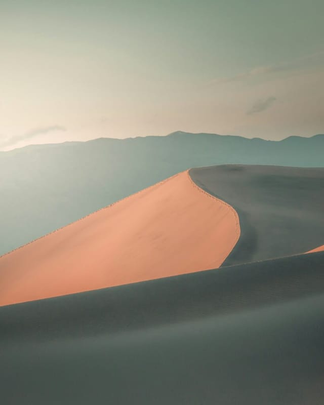 roots&reels #9: Dune 2