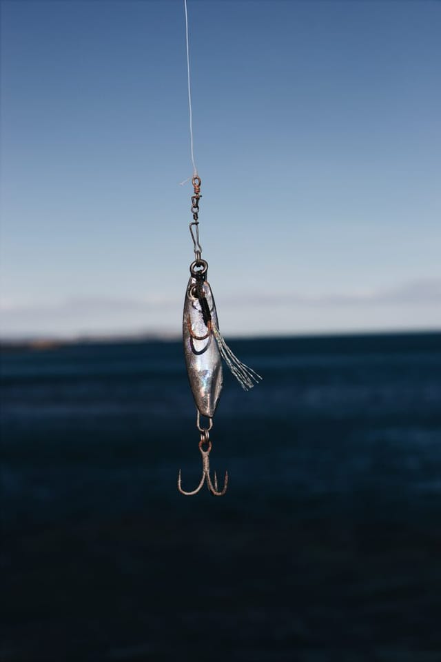 Fisch am Angelhaken