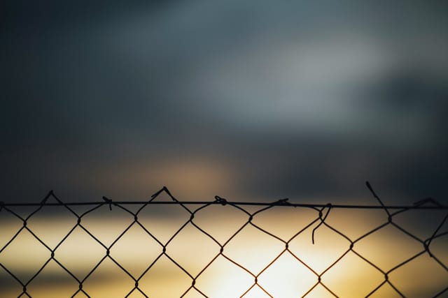 Zurückweisungen von Asylsuchenden an deutschen Grenzen: Ist das noch demokratisch?