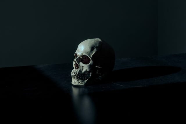 Foto: Mathew MacQuarrie on Unsplash.