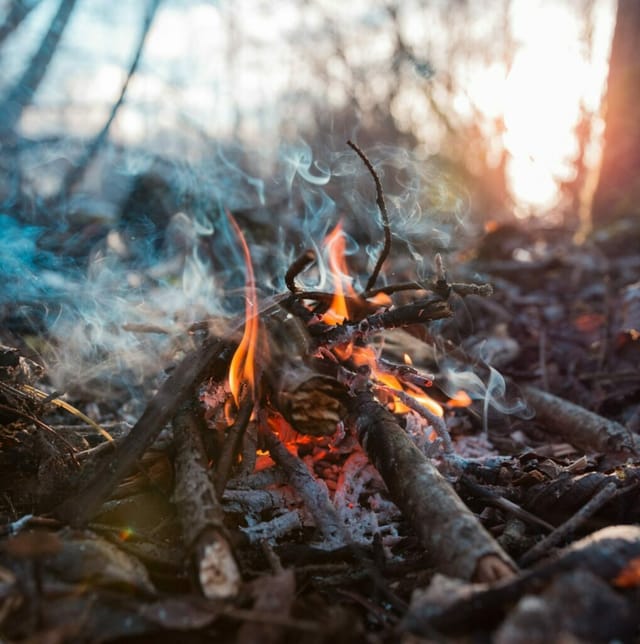 Photo by Siim Lukka on Unsplash