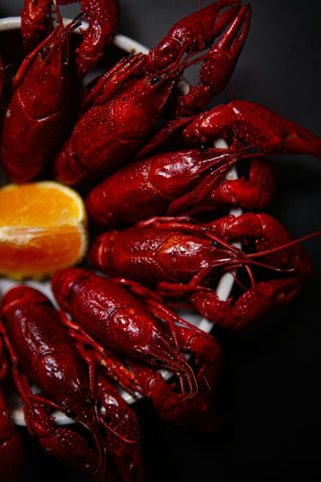 roots&reels #7: Food Porn