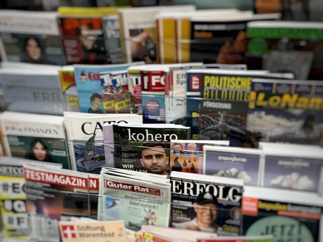 kohero exklusiv: Wie geht eigentlich Impact?
