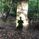 Ein Stück Wald
