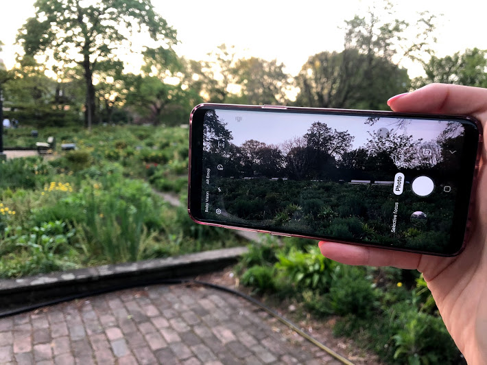 Wenn wir die Stadt und Blume nur durch unseren Handy gucken. Foto: Hussam Al Zaher.