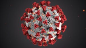 Corona. Foto: CDC on Unsplash