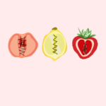 Illustration von Früchten, diese sind zugenäht und erinnern so an die Genitalverstümmelung bei Frauen