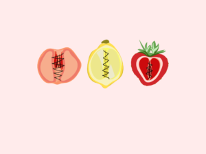 Illustration von Früchten, diese sind zugenäht und erinnern so an die Genitalverstümmelung bei Frauen
