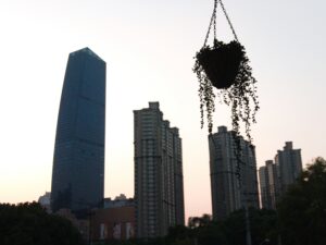 Shanghai - Expat