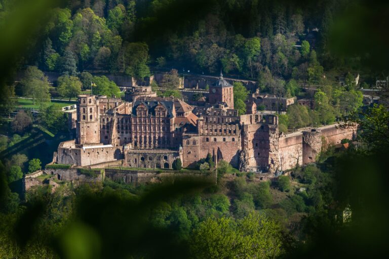 Heidelberger Schloss, Interview über Rassismus und Wahlrecht