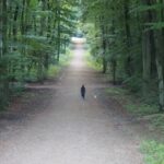 Die Veränderung zerstört nicht die Erinnerung