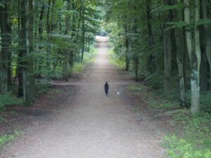 Die Veränderung zerstört nicht die Erinnerung